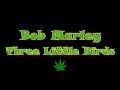 Bob Marley - Three Little Birds (lyrics) 