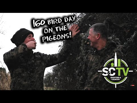 S&C TV | Shooting with Andy Crow 12 | 160 bird day pigeon shooting over rape!