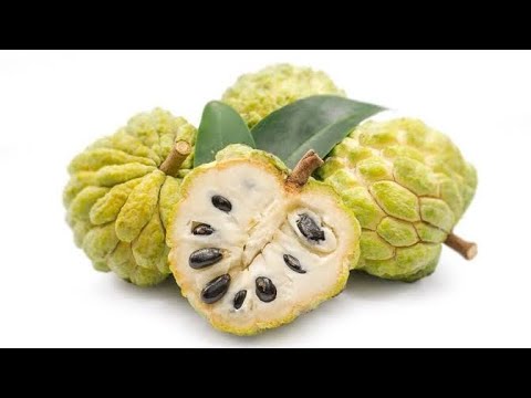 sharfa ka fayde benefits of sarifa