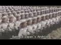 Song Of The Korean People S Army 조선인민군가 Instrumental Old Version