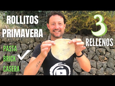 ROLLITOS DE PRIMAVERA CON MASA CASERA FÁCIL - GUILLE RODRIGUEZ