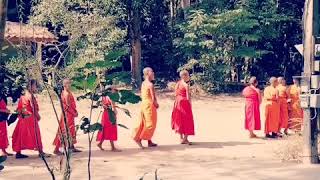 preview picture of video '150 novices in Nakhounnoi Buddhist Temple in Vientiane, Laos #travelingwithajuicer'