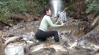 Interesting fishing: Use a pump drain the water from a nearly dry puddle, catching a lot of big fish
