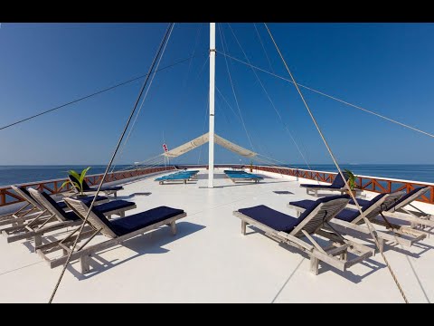 Tauchsafari Malediven 2021