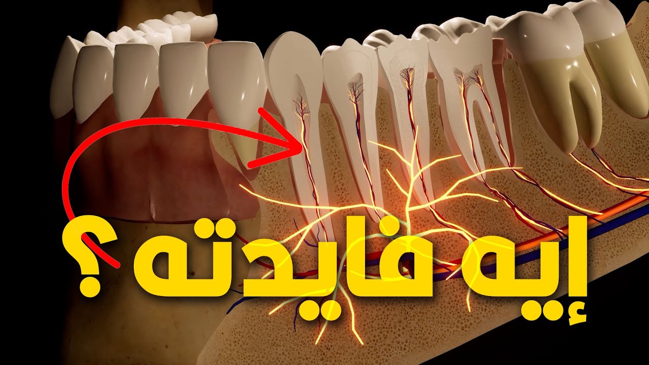 كل ما تحتاج معرفته عن حشو العصب وعلاج تسوس الأسنان