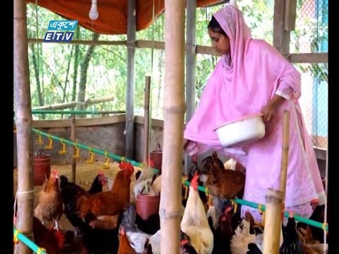 করোনাকালে ভালো নেই প্রান্তিক পর্যায়ের পোল্ট্রি খামারিরা