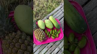 Download lagu Thai Style Fruit Salad mp3