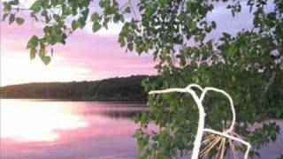 Boats and Birds- Gregory and the Hawk