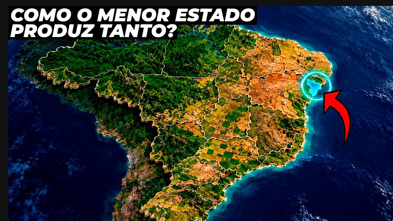 COMO O MENOR ESTADO DO BRASIL SE TORNOU UM GIGANTE DO AGRO