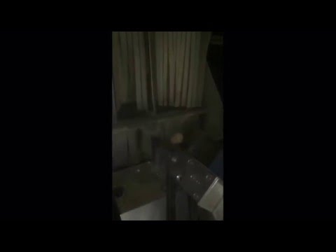 Optical Potato Grading - Visar Sortop Seed Potato Trials