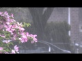 Queens, NY Thunderstorm and Torrential Rains 5.11.