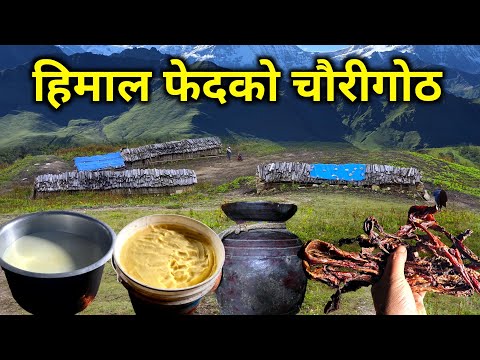 गोठमै बस्ने गोठमै खाने लेकाली गोठको जीवन | हिमालको फेदैमा वर्षौंदेखि चौरी पालेर बस्ने दाईको रोचक कथा