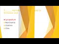 MCQ Biology Classification Of Plants Std 9