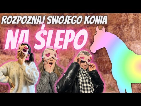 ROZPOZNAJ SWOJEGO KONIA NA ŚLEPO
