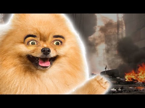 I RULE THESE LANDS (Tokyo Jungle)