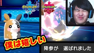今日もモルペコが強くて僕は嬉しい。【ポケモン剣盾】