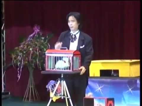 Transformação Instantânea