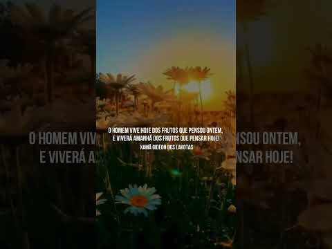 O Homem vive dos Frutos ... -  Mensagem Hinário CNSC