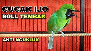 Download lagu CUCAK IJO ROLL TEMBAK || ANTI NGUKLUK BIAR EMOSI DAN BONGKAR ISIAN mp3 Download lagu CUCAK IJO ROLL TEMBAK || ANTI NGUKLUK BIAR EMOSI DAN BONGKAR ISIAN mp3