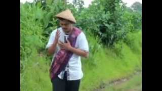 Download lagu mawar bodas calung mp3