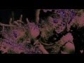 RASA - Arati (in concert) 
