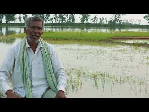 How are Ahar Pynes ameliorating the rural economy of Jharkhand.