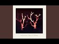 Looking for Europe (Trees in Winter Version)