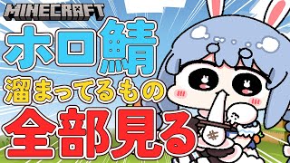 Start - 【Minecraft】ホロ鯖!まだ見てないイタズラ、お手紙全部見る!!!!!!!ぺこ!【ホロライブ/兎田ぺこら】