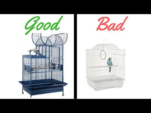 Good Vs Bad Bird Cages