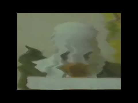 Made of pain- spectator official music video 