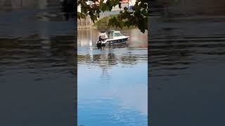 Port et moutons 🐑 🐑