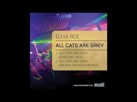 Dj Le Roi - All Cats Are Grey (Milton Jackson Remix)