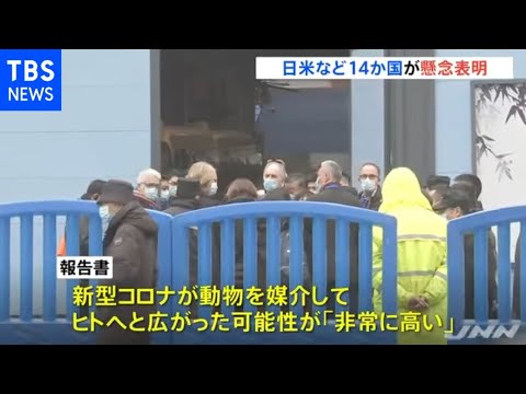 コロナウイルスの起源に関する新たな研究:武漢ではなく、もっと以前から