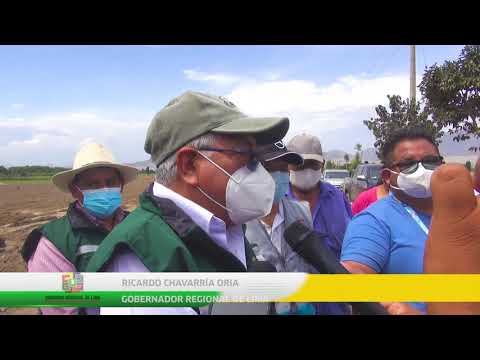 Con nuevas infraestructuras de riego impulsan actividad agrícola en Aucallama - Huaral.