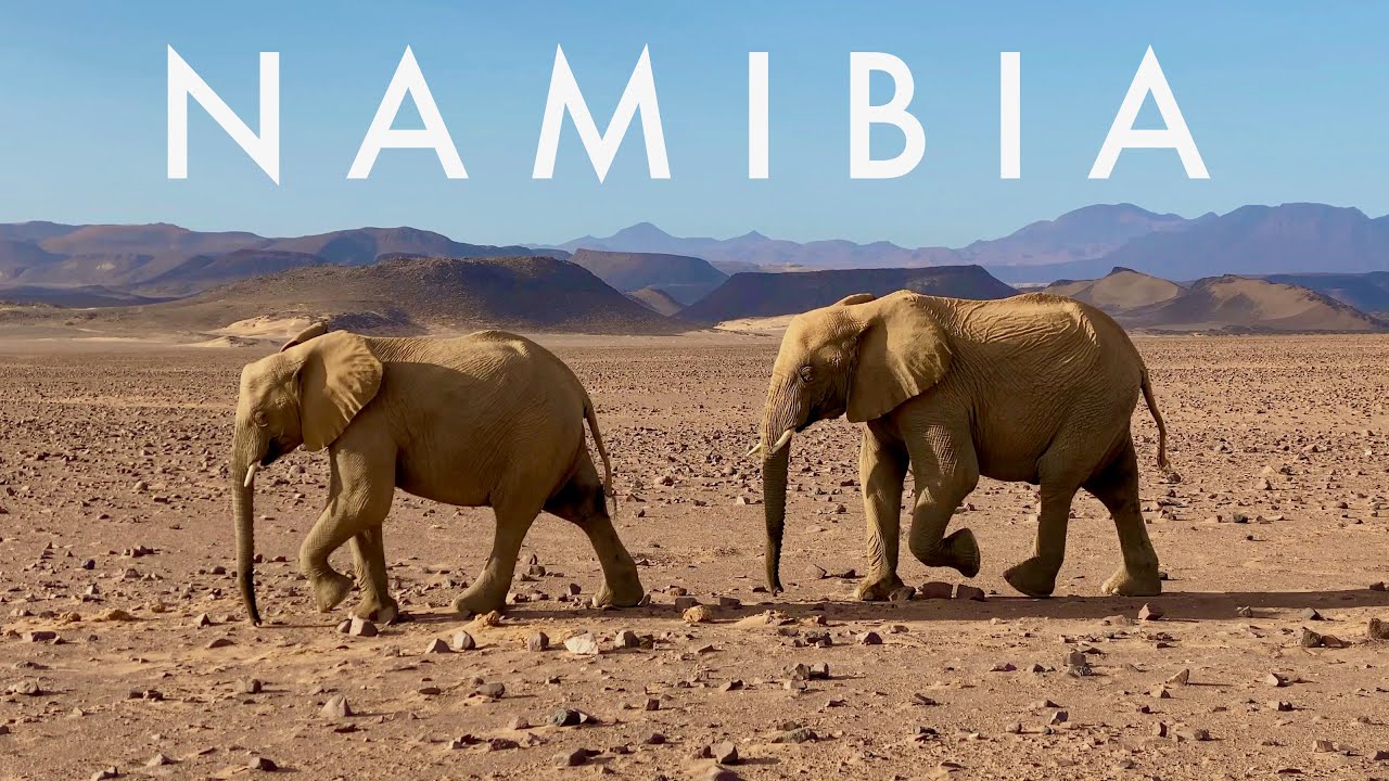 NAMIBIA Surreal landscapes + iconic animals + powerful music