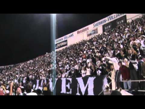 Ponte Macaca Querida Amor da Minha Vida