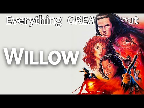 Everything GREAT About Willow!