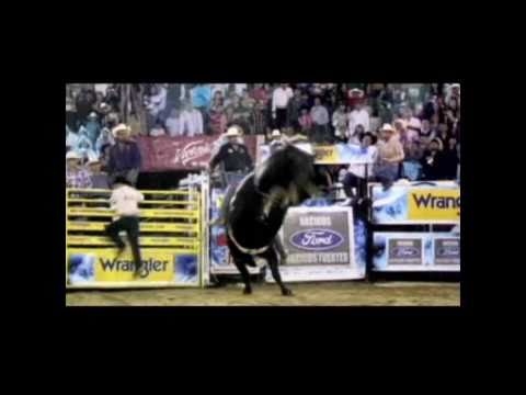 el mezcal de rancho el trebol