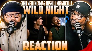 Download lagu John Mellencamp & Michelle Ndegeocello - Wild Night (REACTION) #johnmellencamp #airplaybeats mp3 Download lagu John Mellencamp & Michelle Ndegeocello - Wild Night (REACTION) #johnmellencamp #airplaybeats mp3