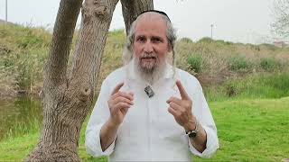 "איזה לחץ!".  פסח