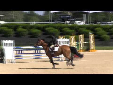 Video of ANDANTE ridden by CRISTINA LONGO from ShowNet!