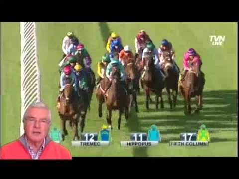 The 2014 Melbourne Cup favourite - The Offer