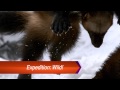 Litton S Weekend Adventure SuperTease Promo March2014 Alex Rain Voiceovers