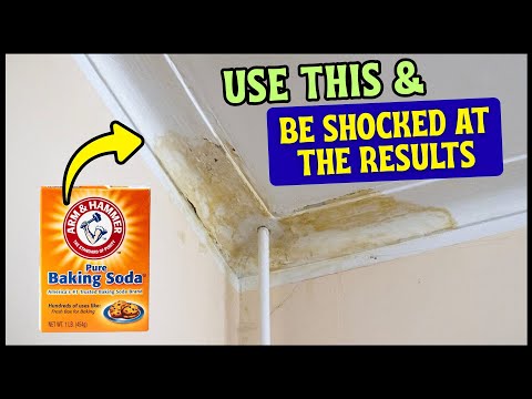 How to Remove Brown Water Stains from Ceiling in Minutes?