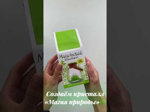 Миниатюра изображения товара Набор для выращивания кристаллов Волшебный кристалл Магический кристалл Магия природы / m4