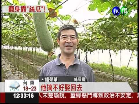 電腦工程師轉行 靠絲瓜年賺200萬