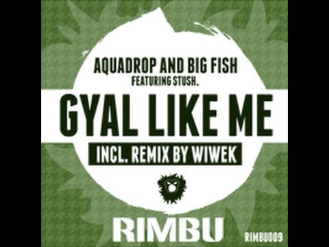 Aquadrop and Big Fish - Gyal Like Me Feat. Stush (Original Mix)