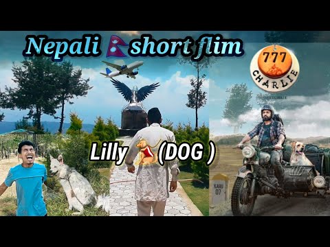 Lilly🐕‍🦺 ( dog ) ||Nepali short movies🥺 || Trailer||  #shortfilm shortfilm