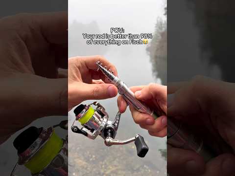 Fisch rods are nothing compared to this 😂 #fishing #fisch #fishingrod