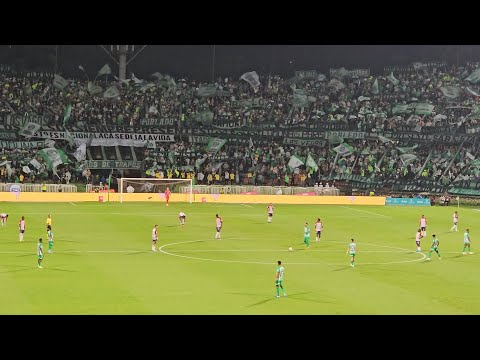 ATLÉTICO NACIONAL 2 - 0 Junior - IMÁGENES SENSIBLES (Resumen y Goles) Partido suspendido